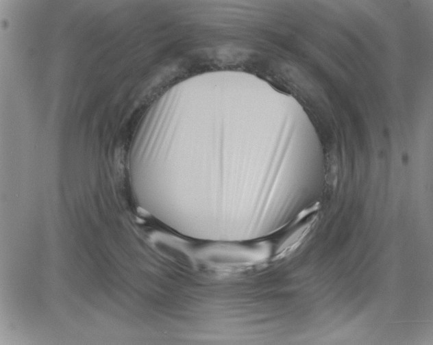 X0000080100184200701051314