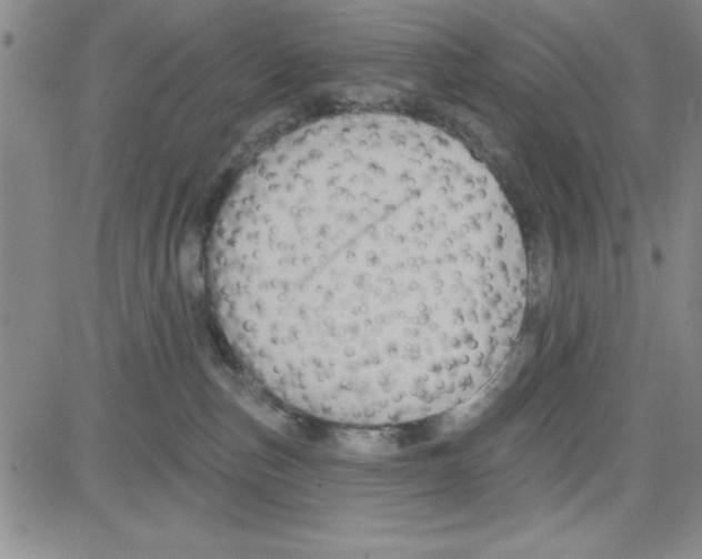 X0000080100187200701051314