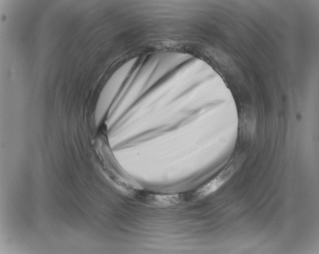 X0000080100188200701051314