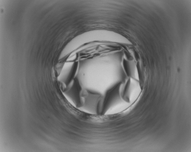 X0000080100190200701051314