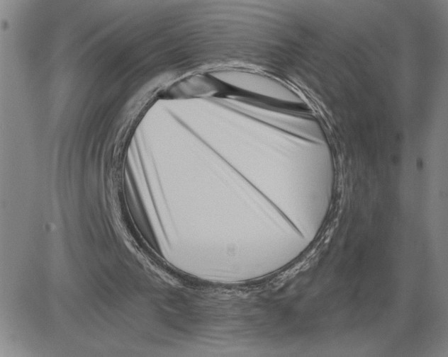 X0000080100193200701051313