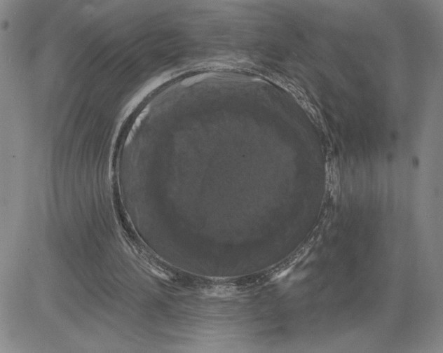 X0000080100196200701051313