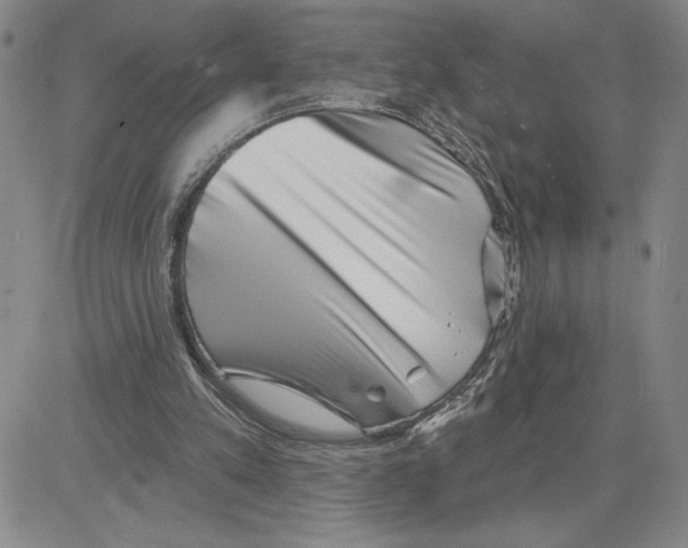 X0000080100197200701051313