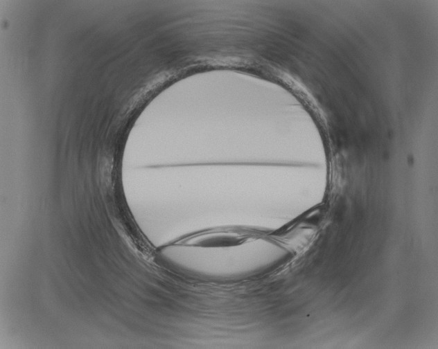 X0000080100201200701051313