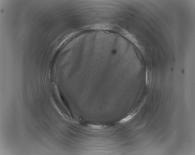 X0000080100205200701051313