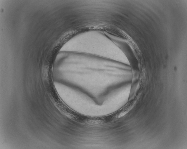 X0000080100209200701051313