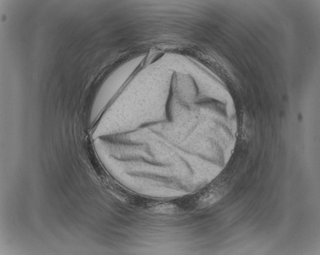 X0000080100210200701051313