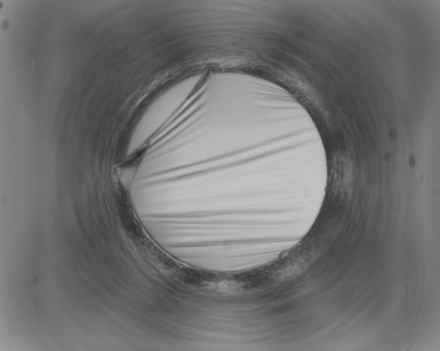 X0000080100212200701051313