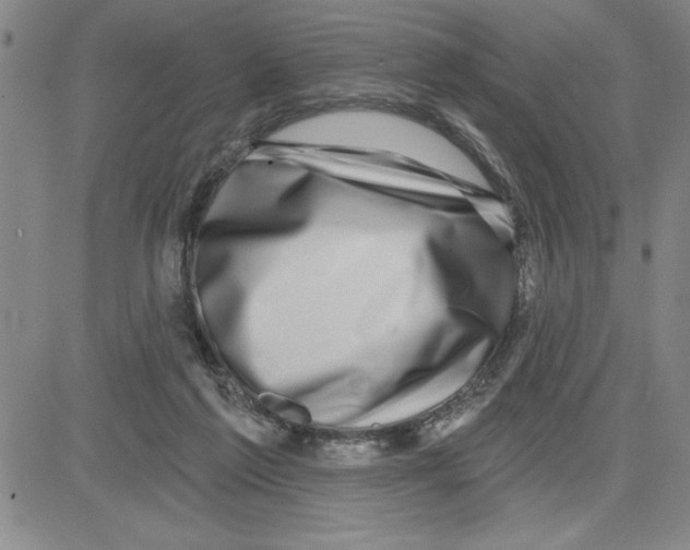 X0000080100213200701051313