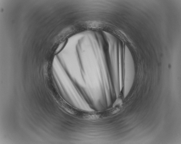 X0000080100217200701051313