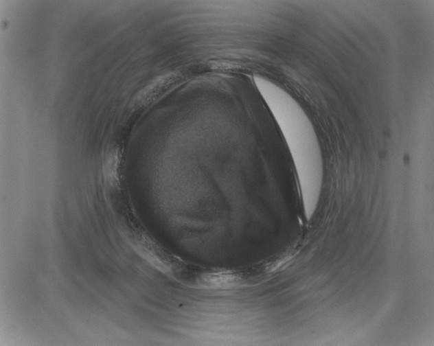 X0000080100219200701051313