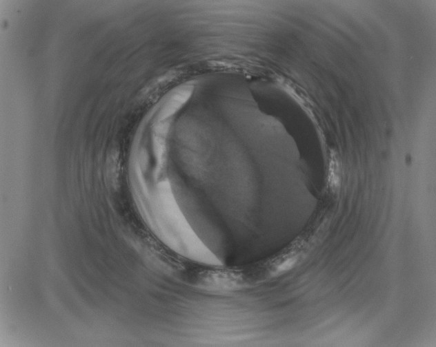 X0000080100223200701051313