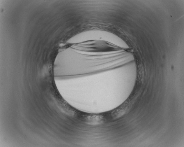X0000080100225200701051312