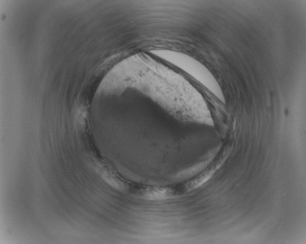X0000080100235200701051312