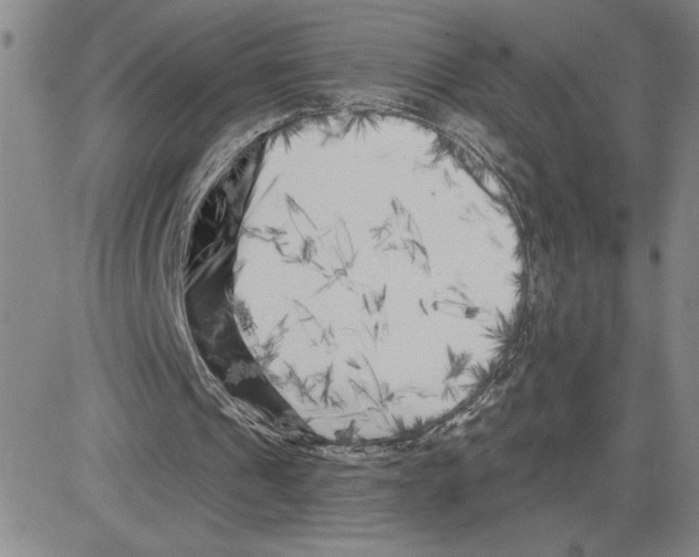 X0000080100241200701051311