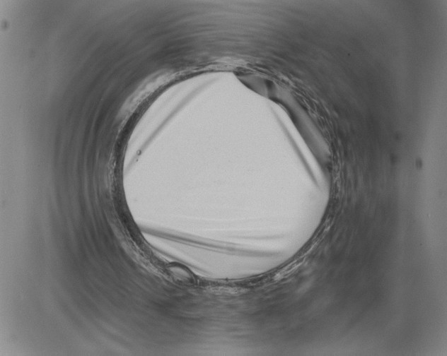 X0000080100242200701051311