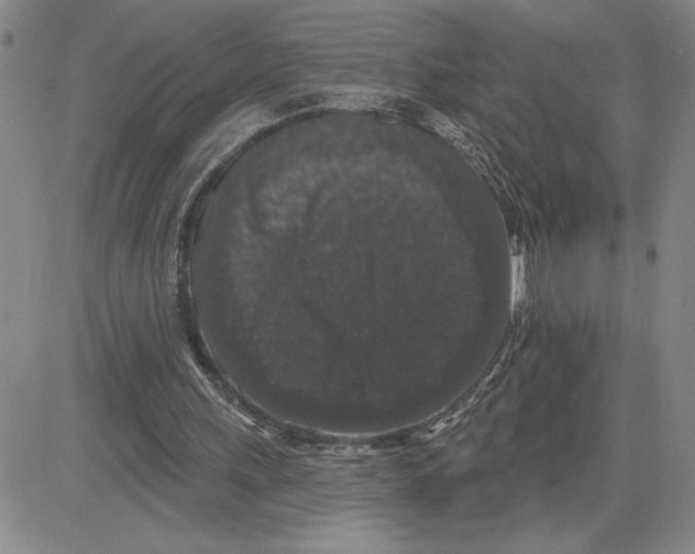 X0000080100243200701051312