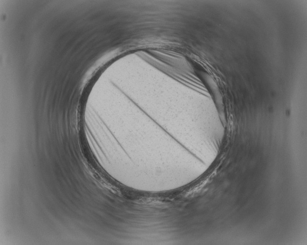 X0000080100244200701051312