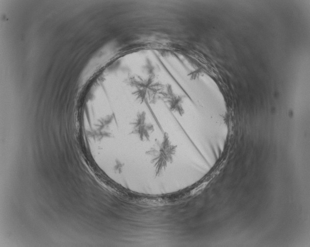 X0000080100245200701051312