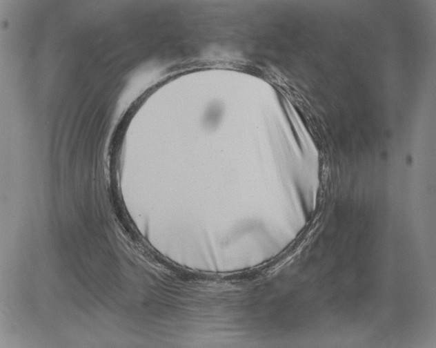 X0000080100246200701051312
