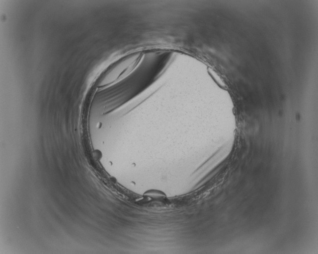 X0000080100248200701051312