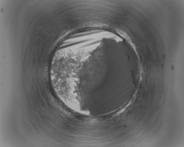 X0000080100249200701051312