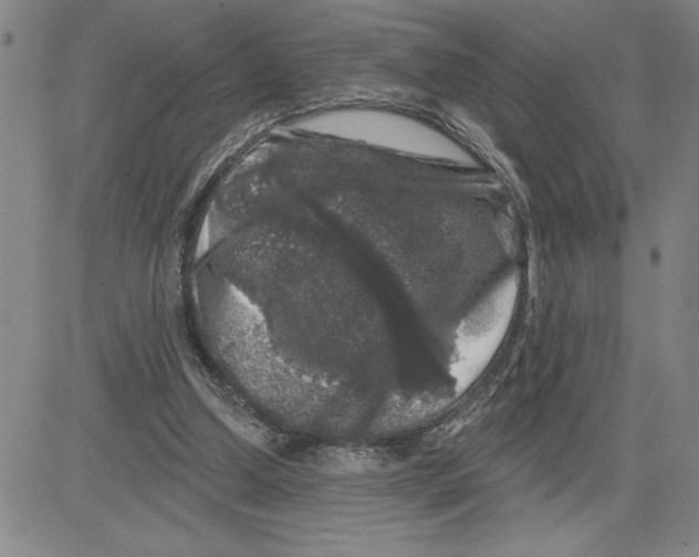 X0000080100250200701051312