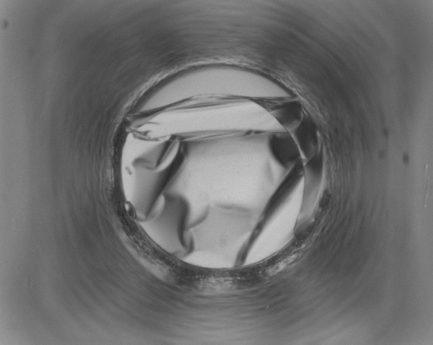 X0000080100252200701051312