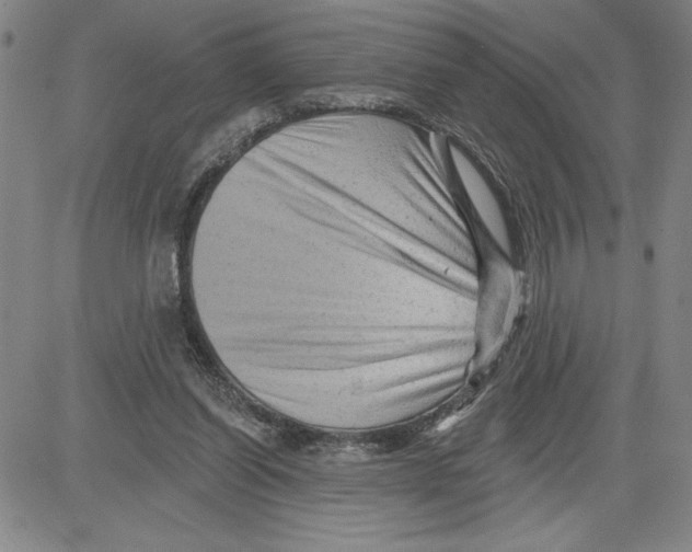 X0000080100254200701051312