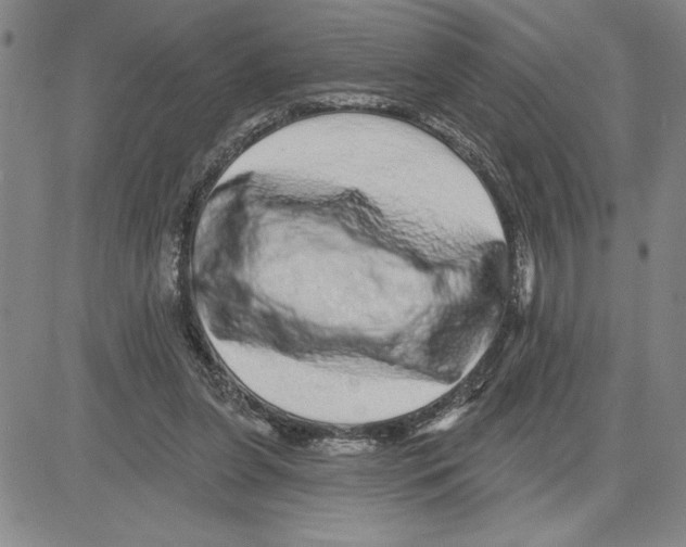X0000080100255200701051312