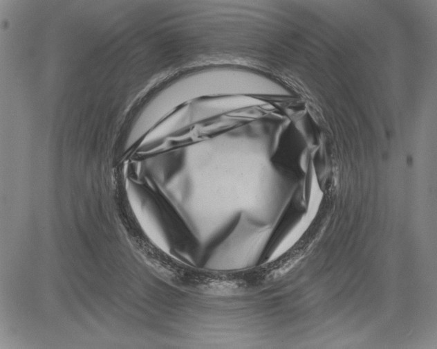 X0000080100256200701051312