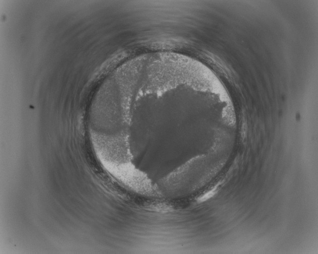 X0000080100258200701051312