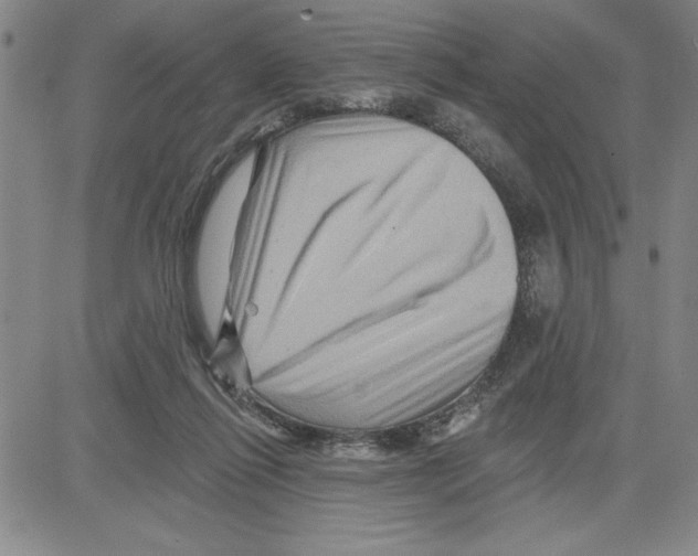 X0000080100262200701051312