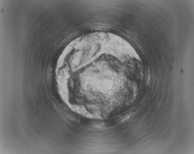 X0000080100263200701051312