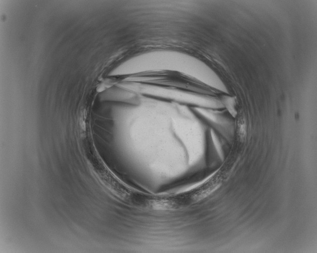 X0000080100264200701051312