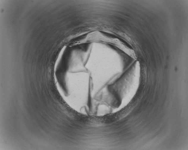 X0000080100269200701051312