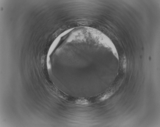 X0000080100271200701051312