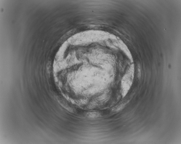 X0000080100275200701051312