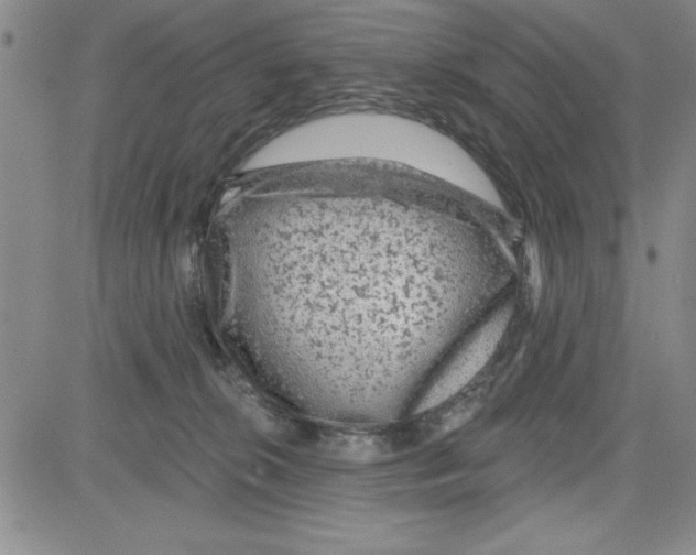X0000080100276200701051312