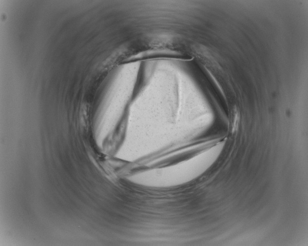 X0000080100280200701051312