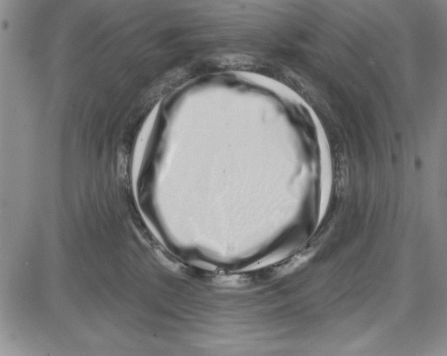 X0000080100281200701051312