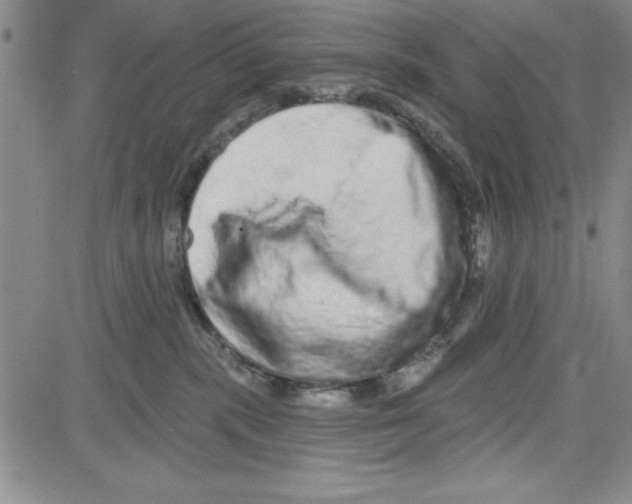 X0000080100283200701051312