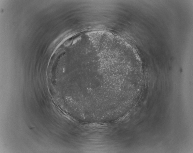 X0000080100290200701051311
