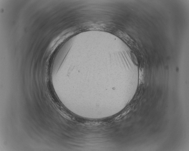 X0000080100291200701051311