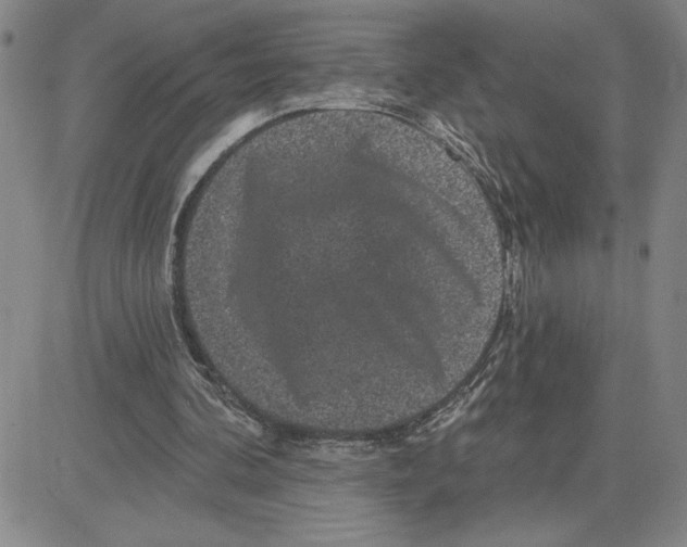 X0000080100292200701051311