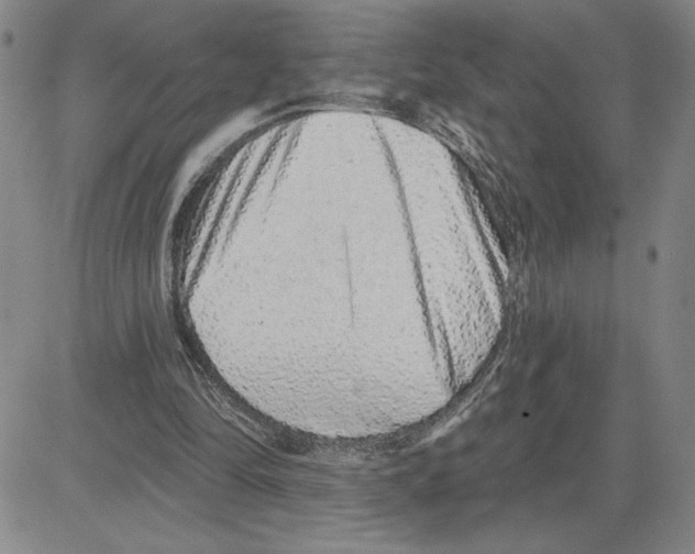 X0000080100294200701051311