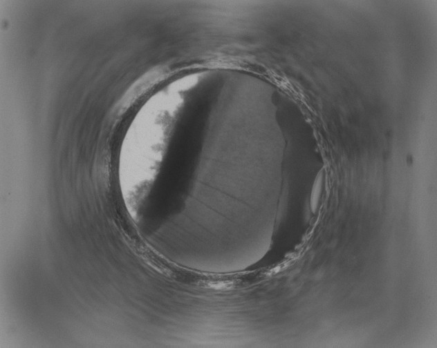 X0000080100295200701051311