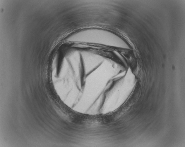 X0000080100299200701051311