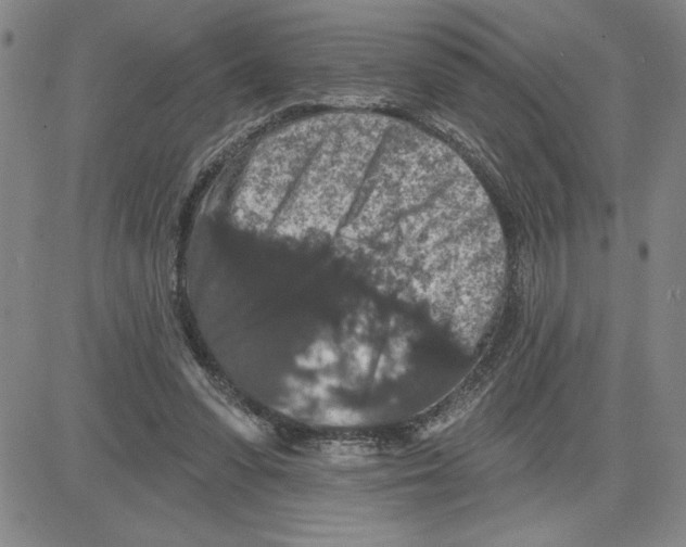 X0000080100303200701051311