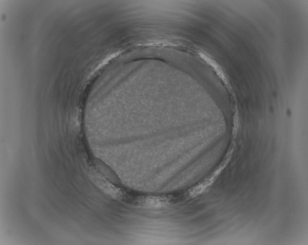 X0000080100305200701051311